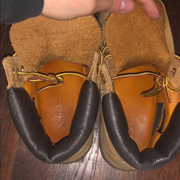 Timberlands - Picture 6 of 7